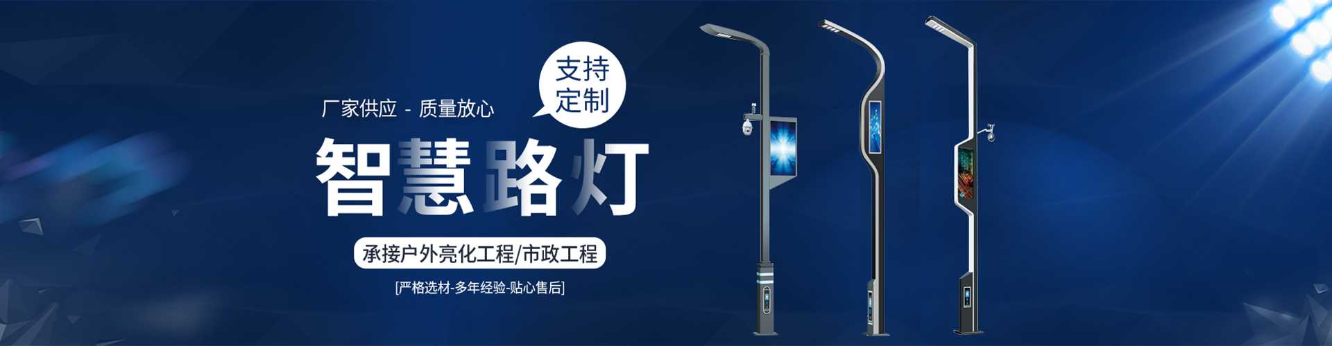 武城县太阳能路灯定制厂家