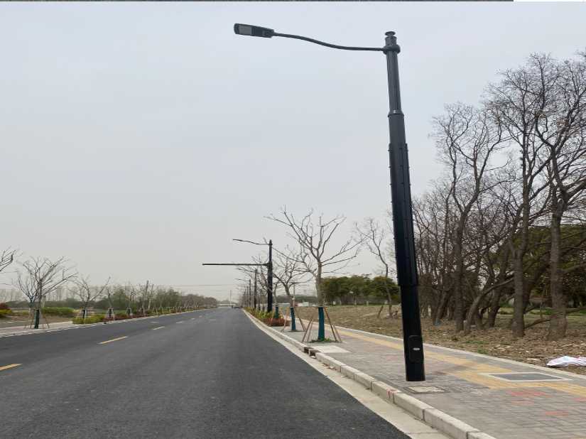 武城县上海综合杆 太阳能路灯工程